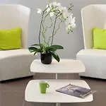 Ibis Styles Antibes Les Pins Juan-les-Pins