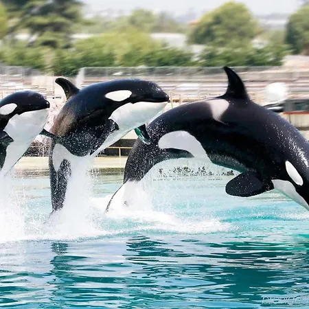 Ibis Styles Antibes Les Pins 3* ジュアン・レ・パン