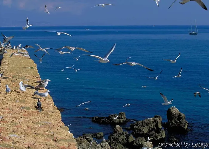 Ibis Styles Antibes Les Pins